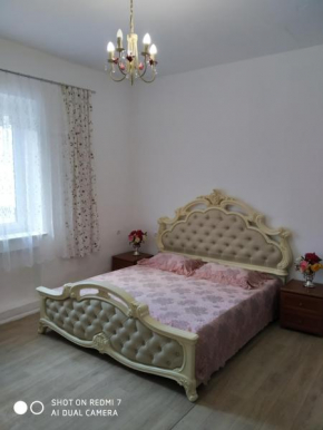 Silviya Apartment in the center